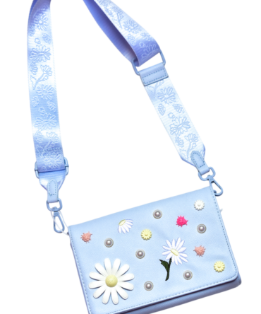 CARTERA AZUL